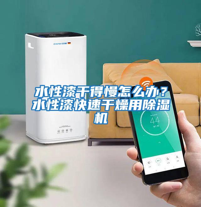 水性漆干得慢怎么辦？水性漆快速干燥用除濕機